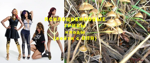 прущие грибы Лагань