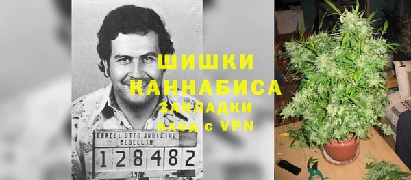 ALPHA PVP Лабытнанги